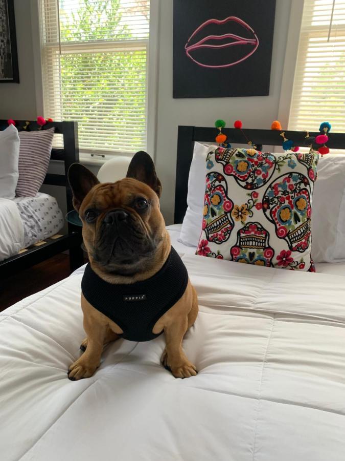 Vibing In The Heights/Breweries/Food/Petfriendly Villa Tampa Exteriör bild